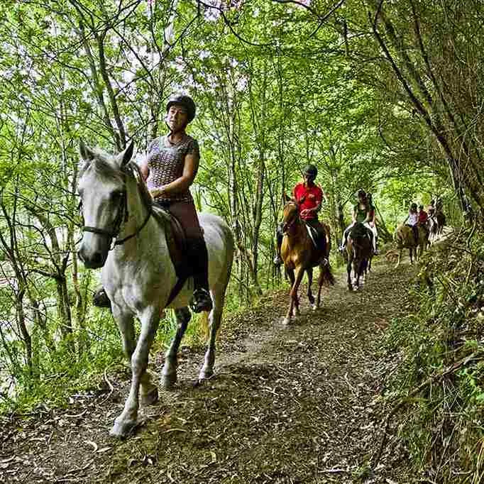 Ruta a caballo por los paisajes del Oriente de Asturias con vistas a los Picos de Europa